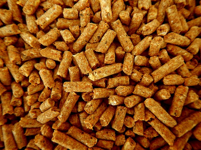 Pellet de fusta